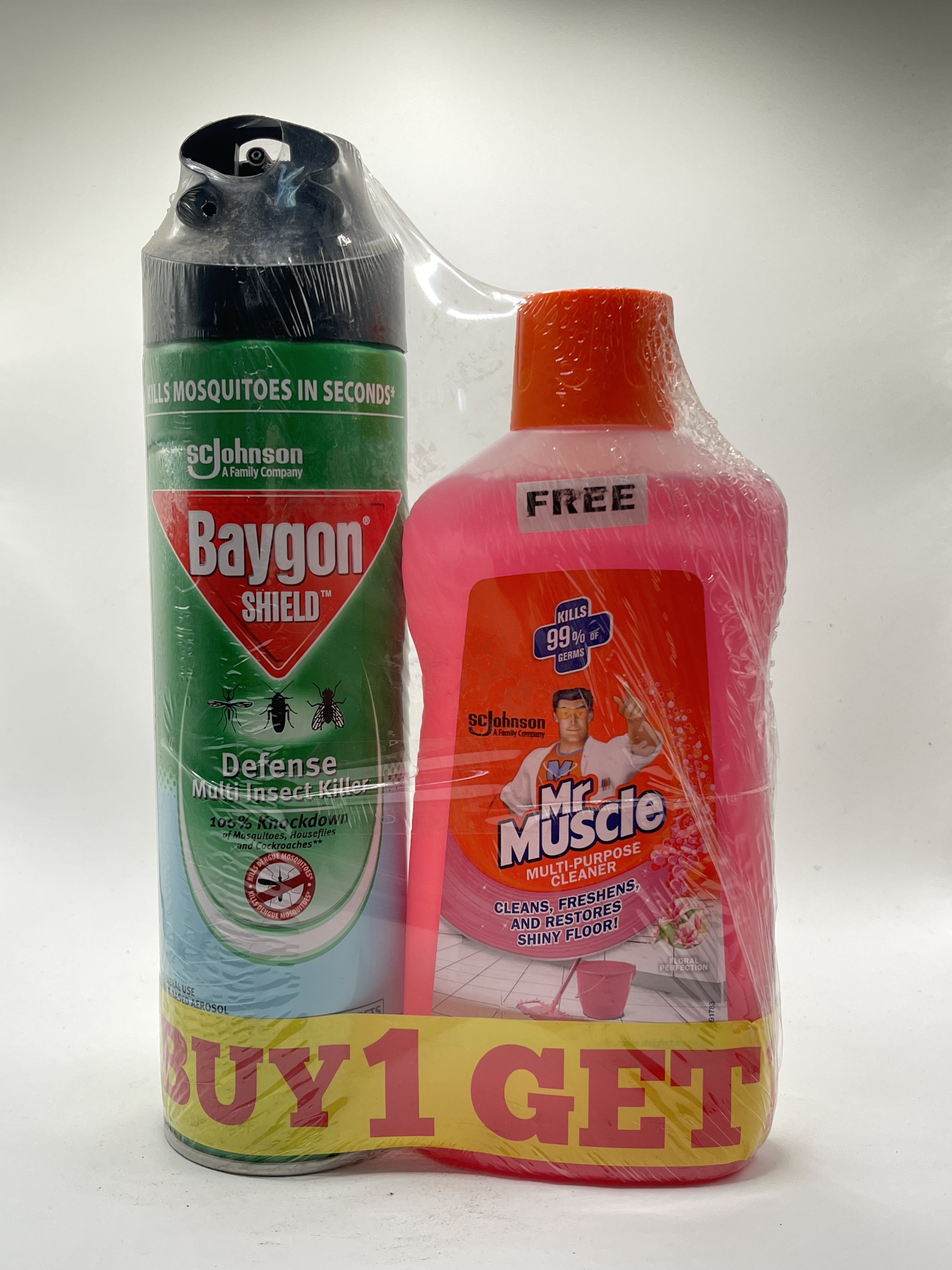 Baygon and Mr. Muscle